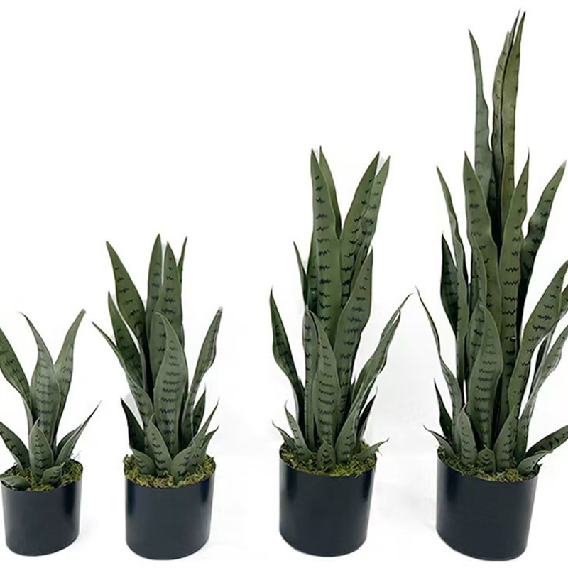 نبات السانسيفيريا الاصطناعي بط - مراجعة Desk Setup Plants وسعره